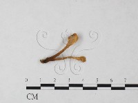 登錄號:F0024044藏品圖，第3張