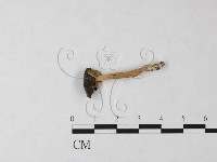 登錄號:F0024047藏品圖，第3張