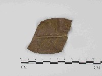 登錄號:F0024048藏品圖，第3張