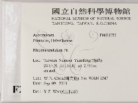 登錄號:F0024050藏品圖，第2張