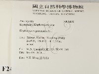 登錄號:F0024051藏品圖，第2張
