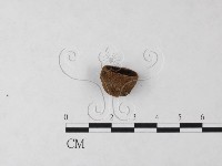 登錄號:F0024051藏品圖，第4張