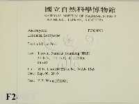 登錄號:F0024052藏品圖，第2張