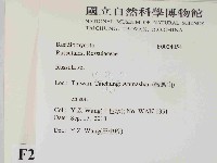 紅菇屬藏品圖，第2張