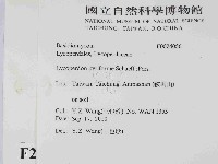 登錄號:F0024056藏品圖，第2張
