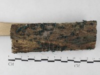 登錄號:F0024058藏品圖，第3張