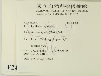 登錄號:F0024060藏品圖，第2張