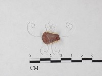 登錄號:F0024060藏品圖，第1張