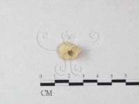 登錄號:F0024060藏品圖，第3張