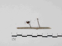 登錄號:F0024063藏品圖，第1張