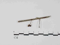 登錄號:F0024063藏品圖，第3張