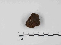 登錄號:F0024064藏品圖，第1張