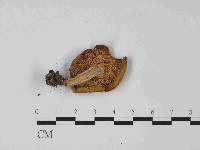 登錄號:F0024065藏品圖，第3張