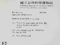 登錄號:F0024066藏品圖，第2張