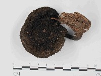 登錄號:F0024067藏品圖，第3張