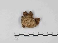 登錄號:F0024068藏品圖，第3張