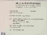 登錄號:F0024069藏品圖，第2張