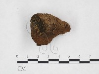 登錄號:F0024073藏品圖，第1張