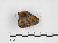 登錄號:F0024073藏品圖，第3張