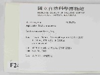 登錄號:F0024076藏品圖，第2張