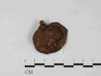 登錄號:F0024076藏品圖，第1張