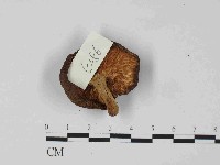 登錄號:F0024076藏品圖，第3張