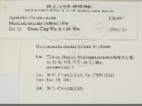 登錄號:F0024077藏品圖，第2張