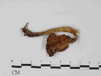 登錄號:F0024077藏品圖，第3張