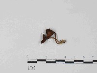 登錄號:F0024078藏品圖，第3張