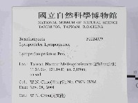 登錄號:F0024079藏品圖，第2張