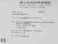 登錄號:F0024081藏品圖，第2張