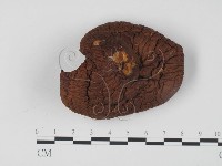 登錄號:F0024083藏品圖，第1張