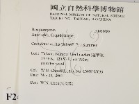 登錄號:F0024088藏品圖，第2張