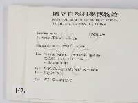 登錄號:F0024089藏品圖，第2張