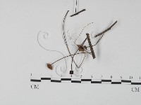 登錄號:F0024089藏品圖，第3張