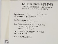 登錄號:F0024090藏品圖，第2張