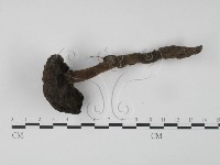 登錄號:F0024092藏品圖，第1張