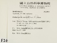 登錄號:F0024094藏品圖，第2張