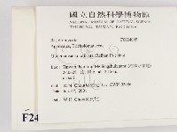 登錄號:F0024095藏品圖，第2張