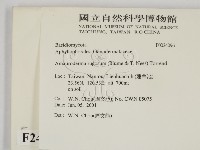登錄號:F0024096藏品圖，第2張