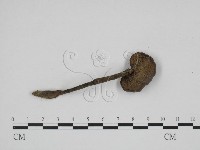 登錄號:F0024096藏品圖，第1張