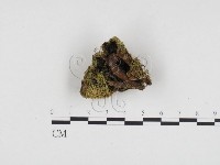 登錄號:F0024098藏品圖，第1張