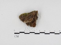 登錄號:F0024098藏品圖，第3張