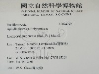 登錄號:F0024099藏品圖，第2張