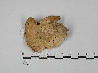 登錄號:F0024099藏品圖，第3張