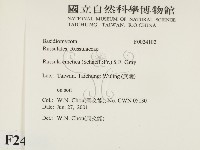 登錄號:F0024102藏品圖，第2張