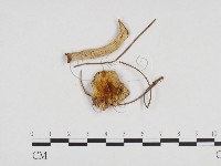 登錄號:F0024102藏品圖，第3張