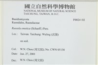 登錄號:F0024102藏品圖，第4張