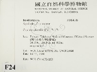 登錄號:F0024103藏品圖，第2張