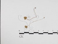 登錄號:F0024103藏品圖，第3張